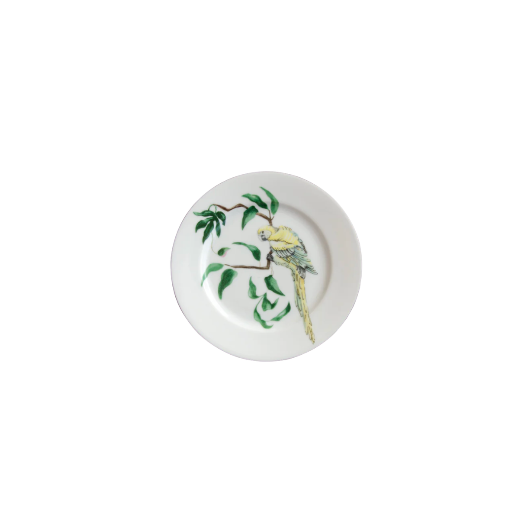 Shop — ANTIQUE